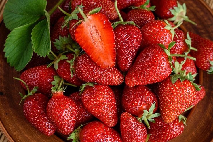 Anbau von verschiedenen Erdbeerensorten im Garten
