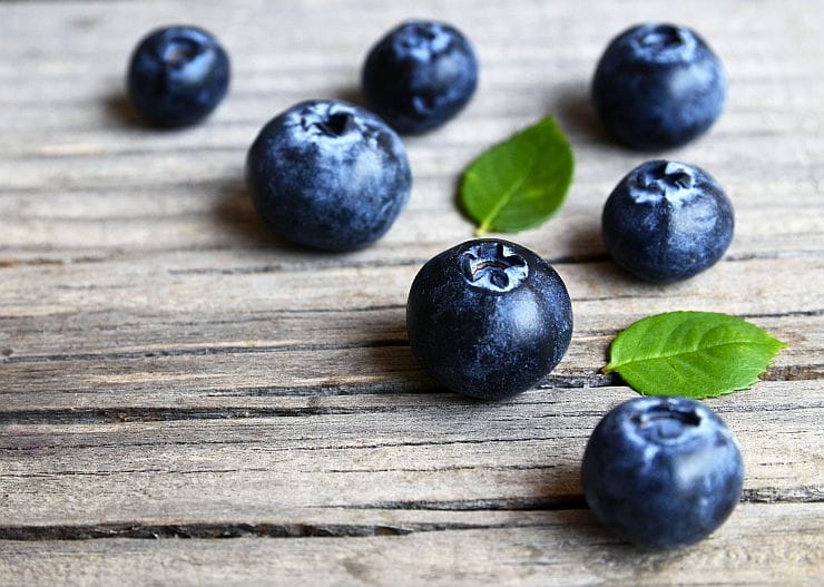 Wilde Heidelbeeren – natürliche Waldfrüchte voller Geschmack, ideal für Frühstück und Desserts