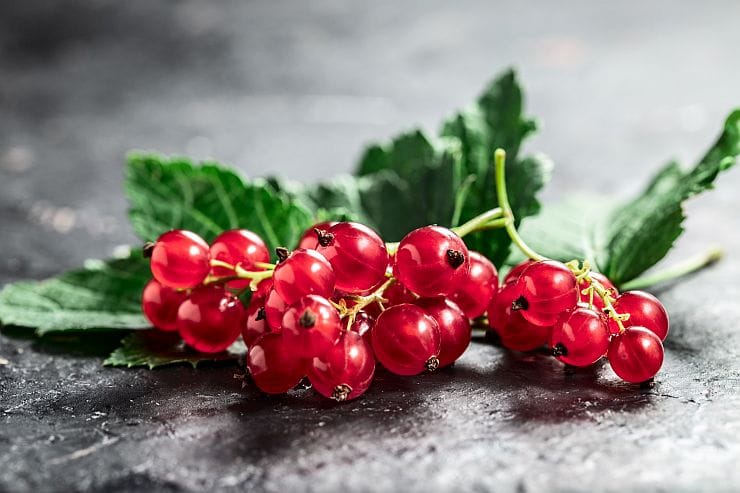 Johannisbeeren – leuchtend rote, leicht säuerliche Beeren, perfekt für Gelees, Kuchen und sommerliche Desserts