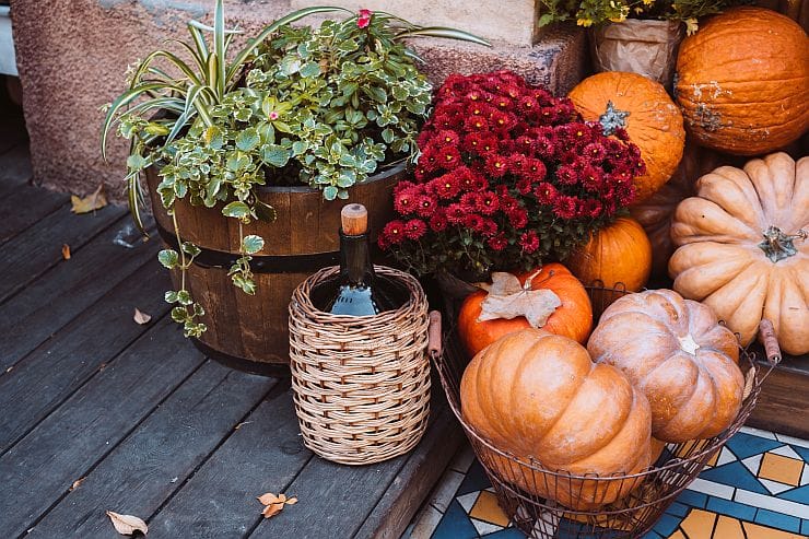 Herbstliche Dekoration aus Kürbissen