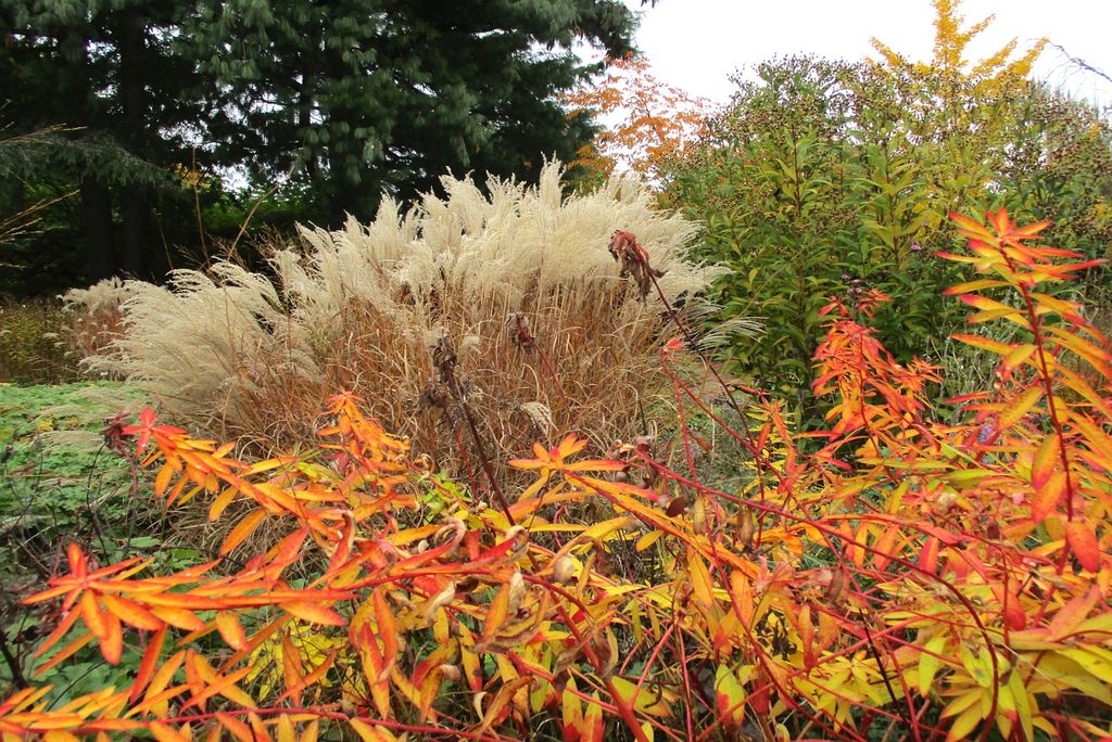 Garten im Herbst