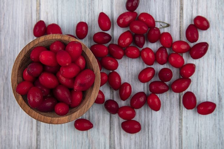 Übersicht der Kornelkirsche-Sorten mit Fruchtfarbe, Größe und Geschmack