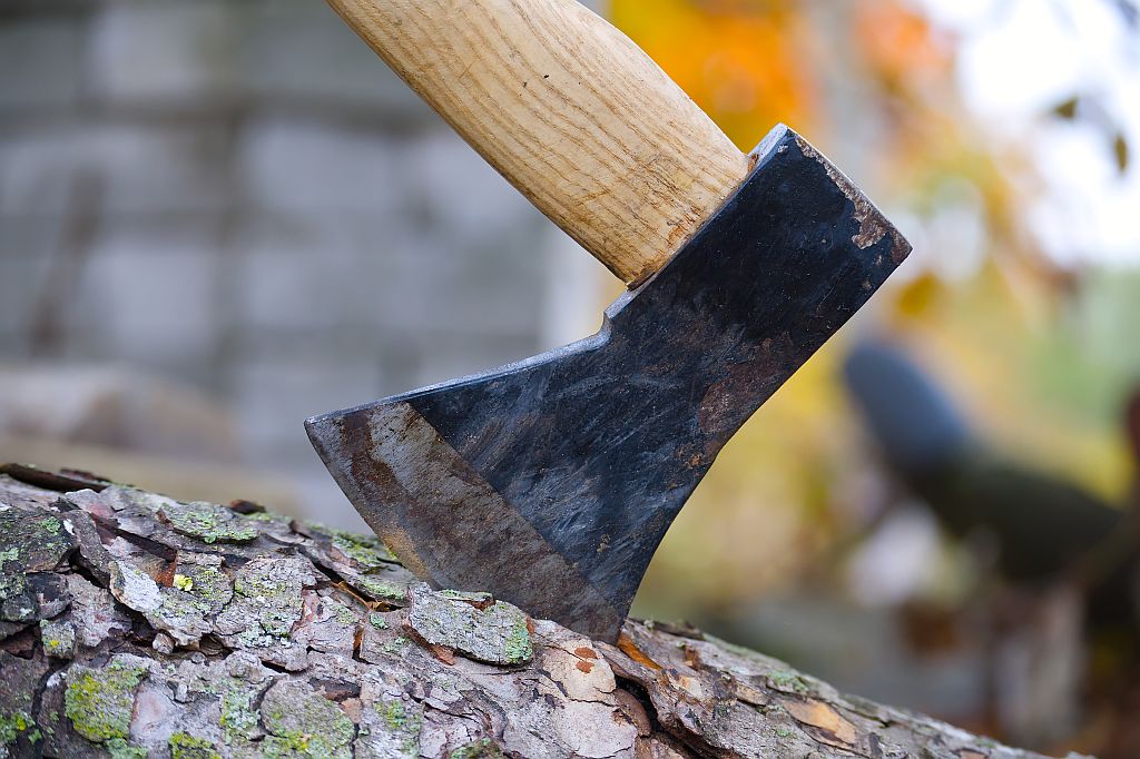 Axt für das Zerkleinern von Holz und größeren Ästen im Garten