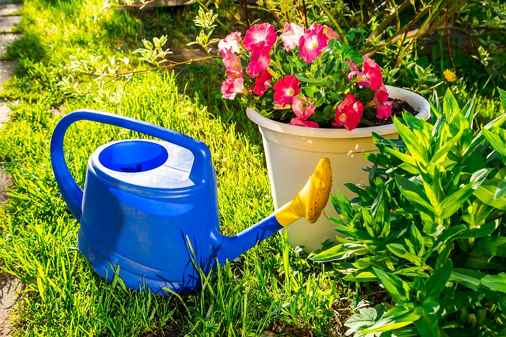 Gartengießkanne zum Bewässern von Pflanzen im Garten
