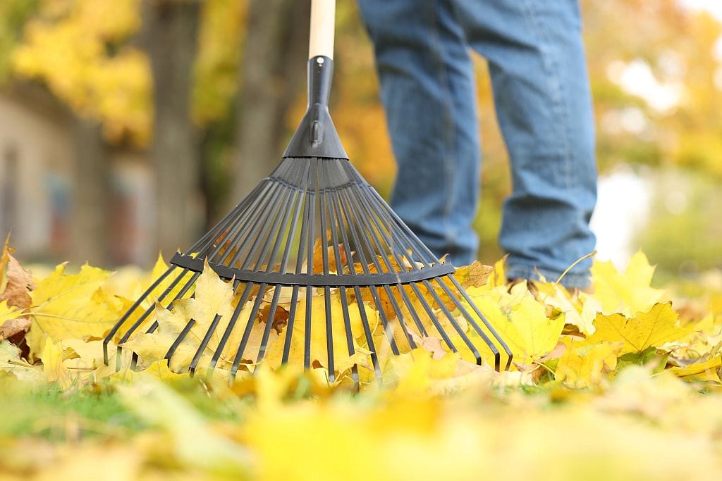 Gartenwerkzeuge: Rechen für die Gartenarbeit