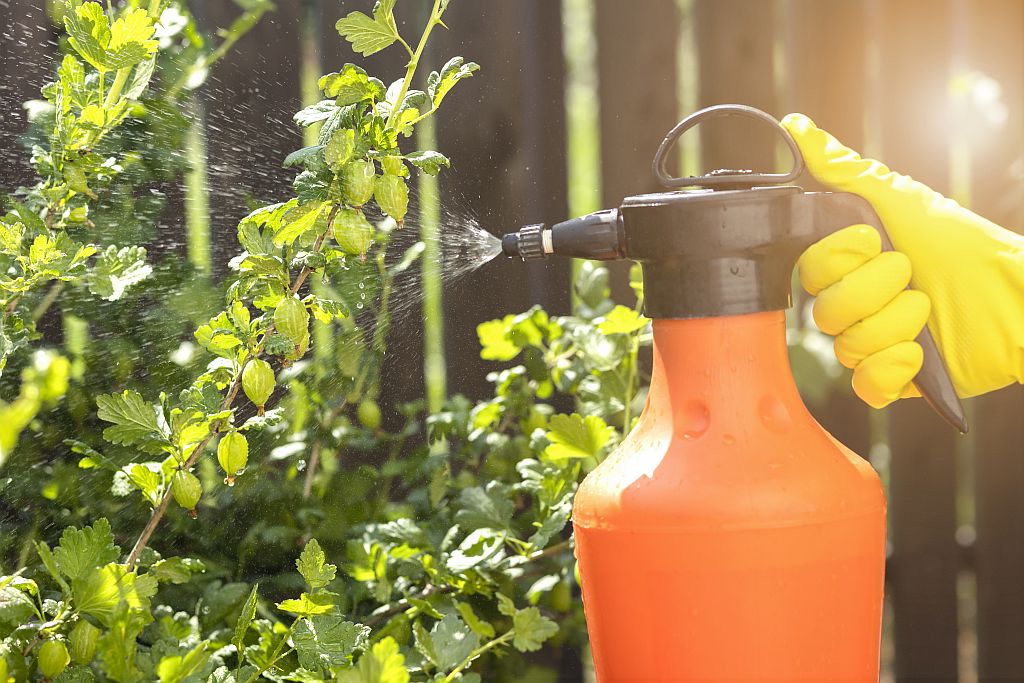 Sprühgerät zur Behandlung und Pflege von Gartenpflanzen