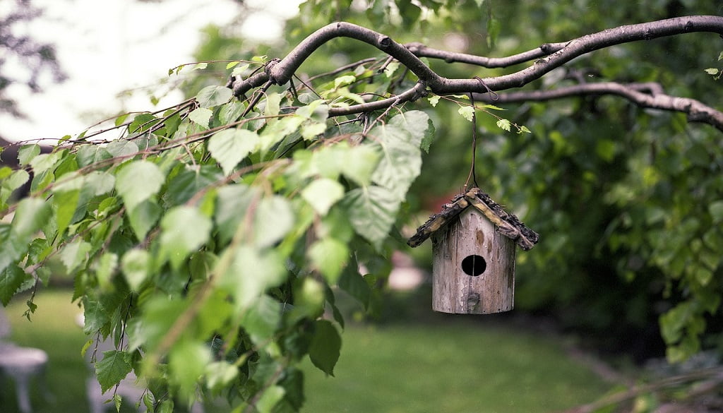 Vogeltränke beim Upcycling für den Garten - hölzerner Vogelhaus, das an einem grünen Baumzweig zwischen Blättern hängt