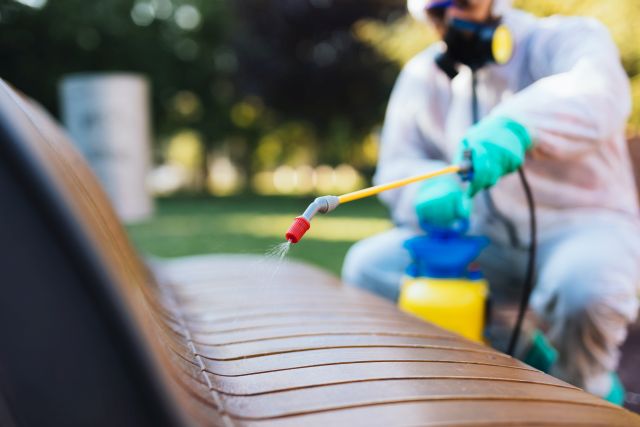 Gartenmöbel Reinigung mit Drucksprüher – Person in Schutzkleidung sprüht Reinigungsmittel auf Holzbank im Außenbereich, professionelle Pflege von Gartenmöbeln