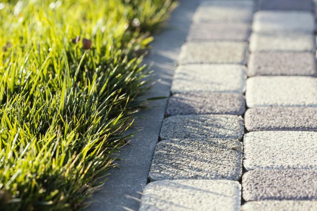 Detailaufnahme eines Gartenwegs mit grauen Betonpflastersteinen, sauberer Rasenkante und gepflegtem Grün – moderne Gartengestaltung Beton für Gartenweg