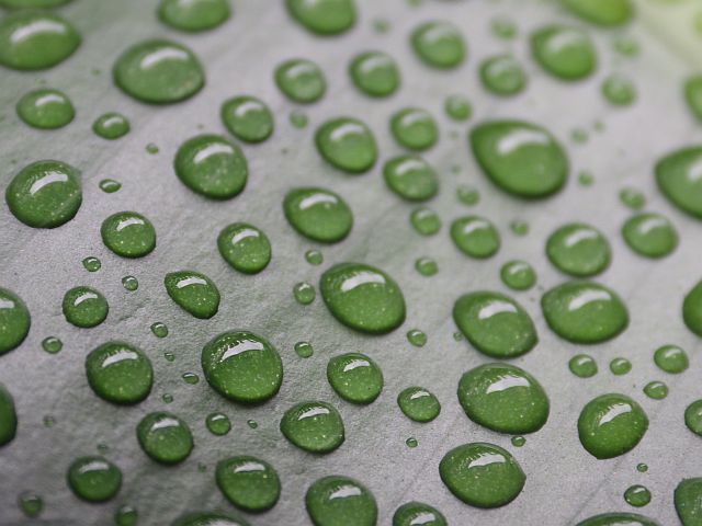 Grüne Wassertropfen auf einer glatten Oberfläche als Symbol für reines Osmosewasser – Detailaufnahme zur Darstellung von Wasserreinheit, schadstofffreiem Wasser und nachhaltiger Pflanzenpflege - Osmosewasser für Pflanzen