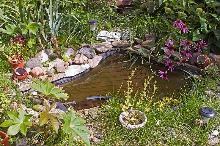 Alte Wanne als Gartenteich: mit Seerosen und Sumpfgräsern bepflanzt, von Steinen eingefasst; flaches Wasser für Insekten und Vögel