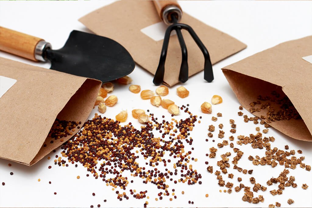 Blumensamen Tüten aus Papier