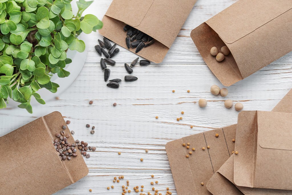 Braune Blumensamen Papiertüten auf weißem Holztisch, verstreute Samen, grüne Topfpflanze im Hintergrund