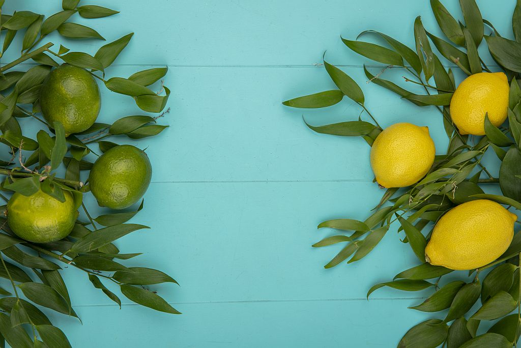 wie kann man den Zitronenbaum überwintern