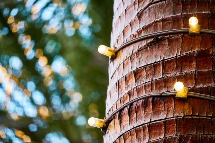 Lichterkette draußen befestigen

