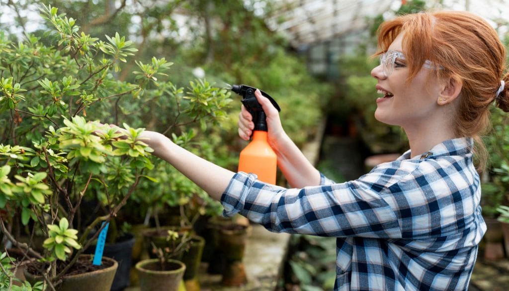 Pflegeleichte Pflanzen für den Garten