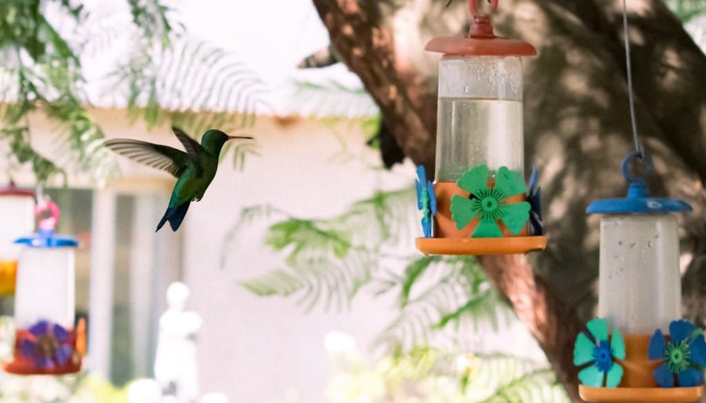 Vogelfreundlicher Garten